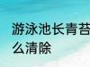 游泳池长青苔怎么处理 游泳池青苔怎么清除