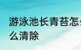 游泳池长青苔怎么处理 游泳池青苔怎么清除