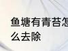 鱼塘有青苔怎么处理 鱼塘里有青苔怎么去除