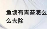 鱼塘有青苔怎么处理 鱼塘里有青苔怎么去除