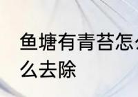 鱼塘有青苔怎么处理 鱼塘里有青苔怎么去除