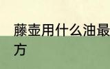 藤壶用什么油最好吃 藤壶的烹饪方法方