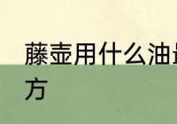 藤壶用什么油最好吃 藤壶的烹饪方法方
