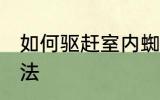 如何驱赶室内蜘蛛 室内驱赶蜘蛛的办法