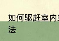 如何驱赶室内蜘蛛 室内驱赶蜘蛛的办法