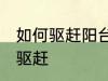 如何驱赶阳台上的鸟 阳台上的鸟怎么驱赶