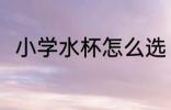 小学水杯怎么选 小学水杯如何挑选