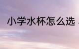 小学水杯怎么选 小学水杯如何挑选