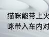 猫咪能带上火车吗 火车上不可以将猫咪带入车内对吗