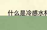 什么是冷感水杯 冷感水杯的介绍