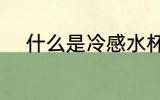 什么是冷感水杯 冷感水杯的介绍