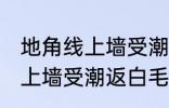 地角线上墙受潮返白毛怎么办 地角线上墙受潮返白毛如何清理