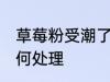 草莓粉受潮了怎么办 草莓粉受潮了如何处理