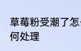 草莓粉受潮了怎么办 草莓粉受潮了如何处理