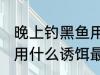 晚上钓黑鱼用什么鱼最好 晚上钓黑鱼用什么诱饵最好