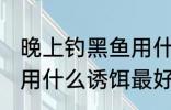 晚上钓黑鱼用什么鱼最好 晚上钓黑鱼用什么诱饵最好
