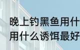 晚上钓黑鱼用什么鱼最好 晚上钓黑鱼用什么诱饵最好
