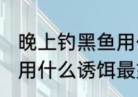 晚上钓黑鱼用什么鱼最好 晚上钓黑鱼用什么诱饵最好