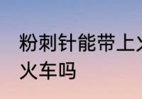 粉刺针能带上火车吗 粉刺针可以带上火车吗
