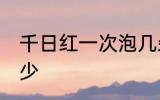 千日红一次泡几朵喝 千日红一次泡多少