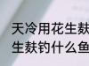 天冷用花生麸钓什么鱼最好 冬天用花生麸钓什么鱼最好