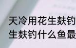 天冷用花生麸钓什么鱼最好 冬天用花生麸钓什么鱼最好