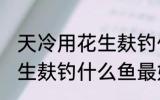 天冷用花生麸钓什么鱼最好 冬天用花生麸钓什么鱼最好