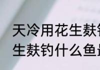 天冷用花生麸钓什么鱼最好 冬天用花生麸钓什么鱼最好