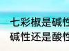 七彩椒是碱性还是酸性食物 七彩椒是碱性还是酸性食物的呢