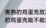 煮熟的鸡蛋壳放冰箱里能保存吗 煮熟的鸡蛋壳能不能放冰箱里保存