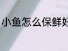 小鱼怎么保鲜好吃 小鱼如何保鲜好吃
