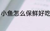 小鱼怎么保鲜好吃 小鱼如何保鲜好吃