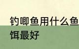 钓唧鱼用什么鱼饵最好 钓唧鱼用啥鱼饵最好