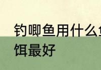 钓唧鱼用什么鱼饵最好 钓唧鱼用啥鱼饵最好