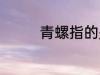 青螺指的是什么 青螺是啥