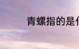 青螺指的是什么 青螺是啥