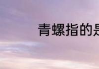 青螺指的是什么 青螺是啥