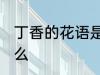 丁香的花语是什么 丁香花的花语是什么