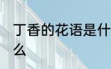 丁香的花语是什么 丁香花的花语是什么