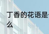丁香的花语是什么 丁香花的花语是什么